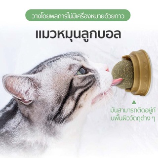 กัญชาแมว แคทนิปบอล ติดกำแพง ไม่กลิ้งหาย catnip ball SB7061