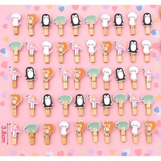 ตัวหนีบรูป ไม้หนีบรูป DIY คละลาย