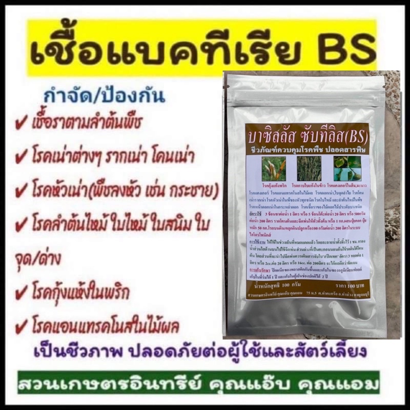 บีเอส 100กรัม, บาซิลลัส ซับทีลิส , BS ป้องกัน กำจัดเชื้อรา โรครากเน่า โคนเน่า ใบไหม้ ใบเหลืองหลุดร่วง แคงเกอร์  กุ้งแห้ง