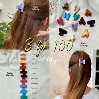 [pmn]กิ๊บหนีบผมอันเล็กปุ้กปิ้ก🌷โปร 3 ชิ้น 100 เกาหลีมากกก พร้อมส่ง