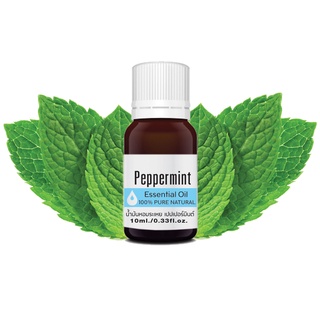 เปปเปอร์มินต์ เอสเซ็นเชียล ออยล์ นํ้ามันหอมระเหย บริสุทธิ์ 100% ขนาด 10กรัม Peppermint Essential Oil