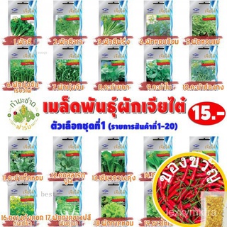 [10แถม2] เจียไต๋ เมล็ดพันธุ์ มะระขี้นก Bitter gourd ประมาณ 10 เมล็ด ตราเจียไต๋ เมล็ดพันธุ์ผัก เมล็ดผัก เมล็ดพืช ผักสวนคร