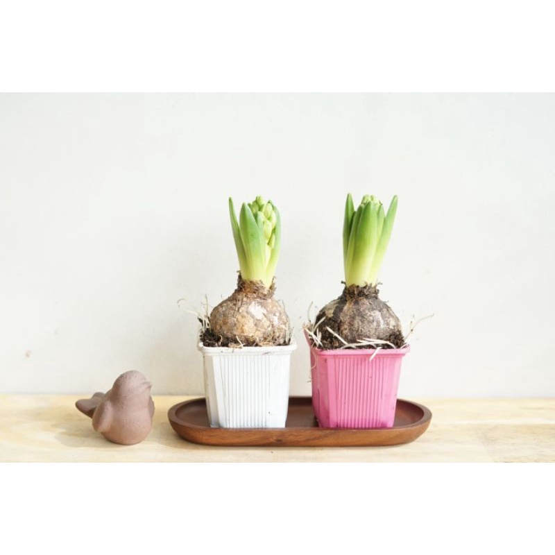 มุมมอง 2