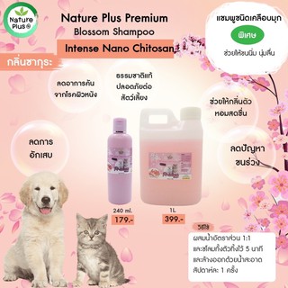 [สินค้าขายดี]แชมพูหมาโรคผิวหนังแชมพูหมารักษาโรคผิวหนัง