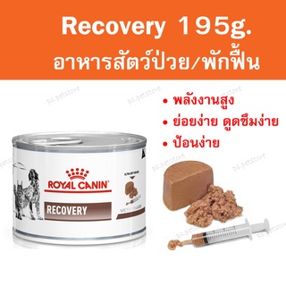 Royal canin recovery 195g. อาหารสุนัขและแมวระยะพักฟื้น หลังผ่าตัด