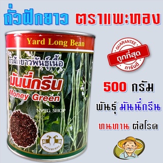 ถั่วฝักยาวพันธุ์เนื้อ มันนี่กรีน ถั่วฝักยาวมันนี่กรีน 500 กรัม เมล็ดพันธุ์ seeds ถั่วฝักยาวพันธุ์เนื้อ มันนี่กรีน