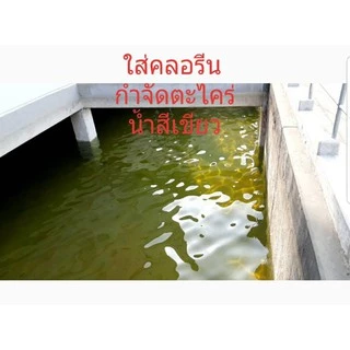 คลอรีนน้ำ10% รวมถัง20กก(น้ำยา18กก)🪣ยี่ห้อราชาชูรส มี มอก. ใบรับรองครบ สระว่ายน้ำ ฆ่าเชื้อโรค มีเอกสารตรวจออดิต