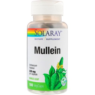 พร้อมส่ง  Solaray, Mullein, 330 mg, 100 VegCaps