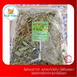 BestHerbs . หญ้าหวาน 25กรัม แก้เบาหวาน