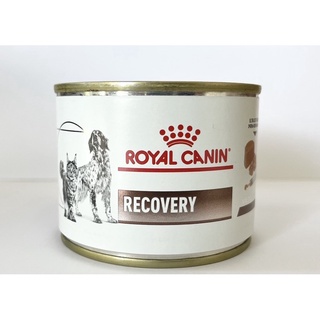 Royal Canin Vet Diet Recovery Canned อาหารสำหรับสุนัขและแมว พักฟื้น 195 กรัม