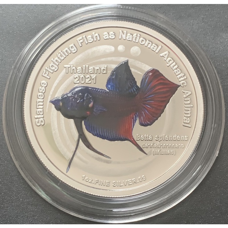 [Deknoi3] เหรียญเงินลงสี ปลากัดแก้มแดง
