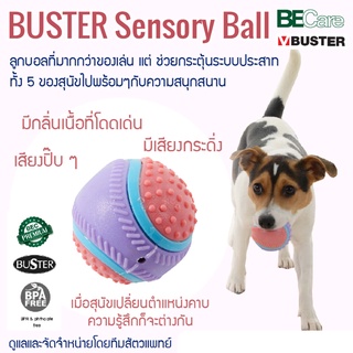 ของเล่นสุนัขBUSTER Sensory Ball  ลูกบอลที่มากกว่าของเล่น แต่ ช่วยกระตุ้นระบบประสาททั้ง 5 ของสุนัขไปพร้อมๆกับความสนุกสนาน