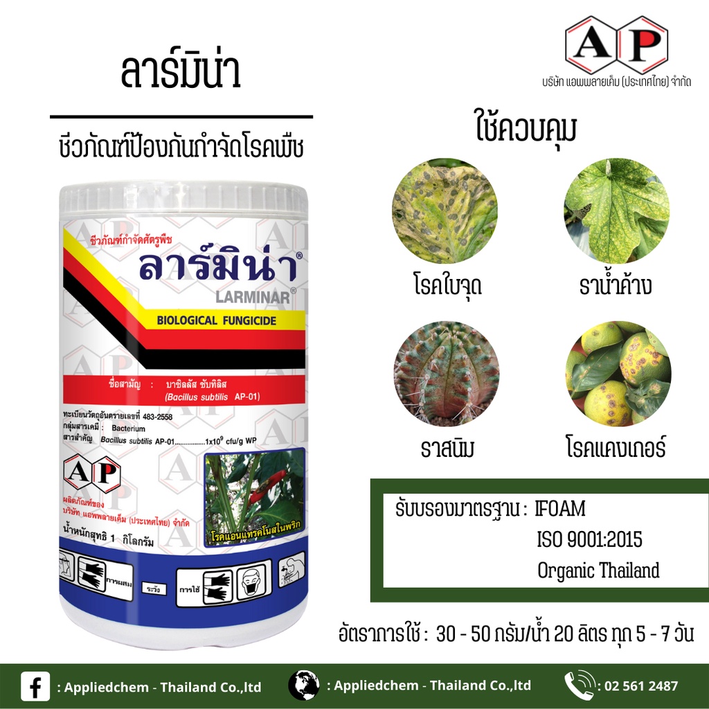 ลาร์มิน่า 500กรัม เชื้อแบคทีเรีย บาซิลลัส ซับทีลีส AP-01 (Bacillus subtilis) เข้มข้น 1x109 cfu/gm