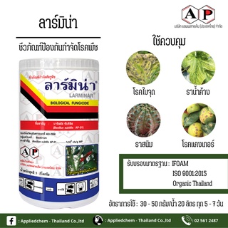 ลาร์มิน่า 500กรัม เชื้อแบคทีเรีย บาซิลลัส ซับทีลีส AP-01 (Bacillus subtilis) เข้มข้น 1x109 cfu/gm