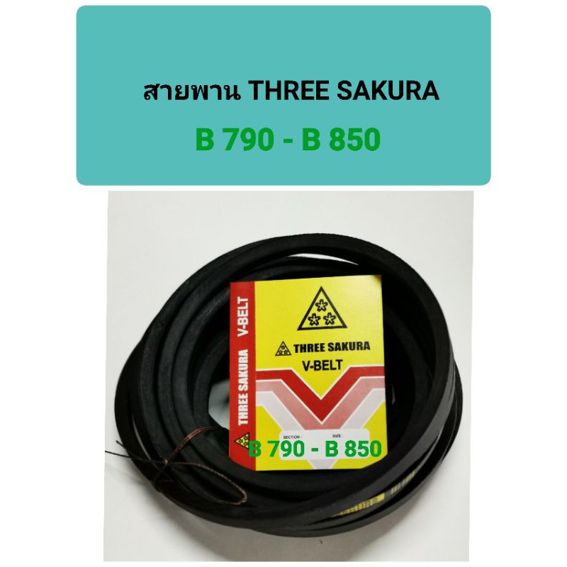 สายพาน THREE SAKURA V BELT สายพานร่องB 3ดาว B790-B850 สายพานดึงน้ำ B790 B810 B820 B830 B840 B850