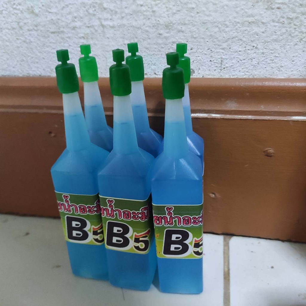 ✨ขายดีมาก🎇ปุ๋ยน้ำ B5 (6 ขวด ) ปุ๋ยบำรุงต้นไม้ ขนาด 40ml. ปุ๋ยต้นไม้ ปุ๋ยแคคตัส ปุ๋ยน้ำทางใบ ปุ๋ยเร่งดอกผล ปุ๋ยน้ำเร่งโต - รูปที่ 6