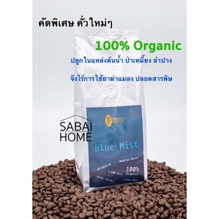 เมล็ดกาแฟArabicaคั่วกลางถึงเข้ม by Fred Coffee