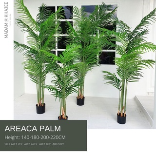 Areca Palm ต้นปาล์มหมาก 140 - 220CM ต้นไม้ปลอมเกรดพรีเมี่ยม มาดามขจี ตกแต่งบ้าน  Premium Artificial Plant