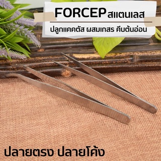 ฟอร์เซป forceps สแตนเลส ปากคีบ ปลายตรง ปลายงอ คีมหนีบอเนกประสงค์ คีมหนีบด้าย คีบต้นกล้า