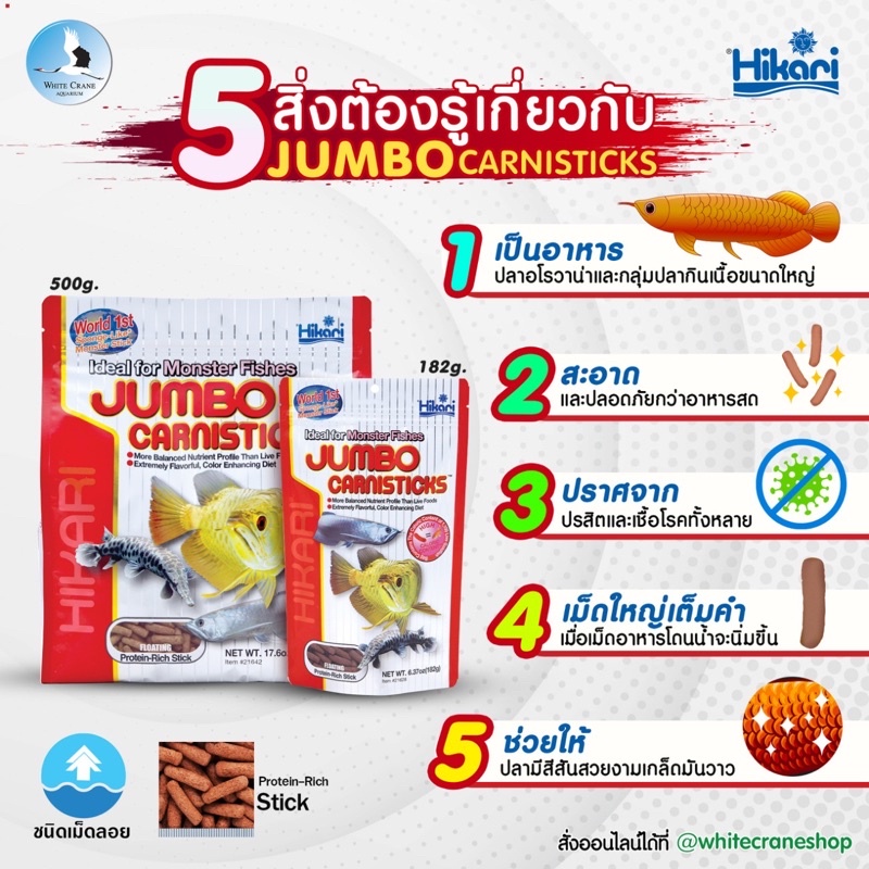 Hikari Jumbo Carnistick อาหารสำหรับปลาอโรวาน่า สีสวยเกล็ดมันวาว งดงามอย่างเป็นธรรมชาติ