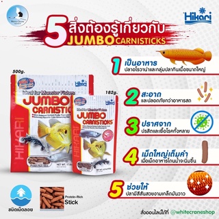 Hikari Jumbo Carnistick อาหารสำหรับปลาอโรวาน่า สีสวยเกล็ดมันวาว งดงามอย่างเป็นธรรมชาติ