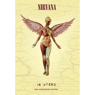 โปสเตอร์ วงดนตรี ร็อค เนอร์วานา NIRVANA 1987-94 POSTER 24”x35” Inch Kurt Cobain Legend American Rock Band v6