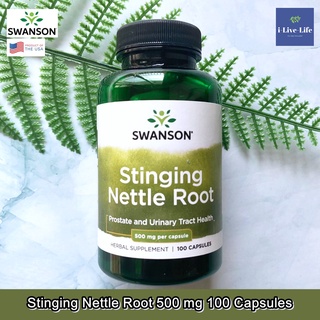 Swanson - Stinging Nettle Root 500 mg 100 Capsules สารสกัดจากรากตำแย สุขภาพ ทางเดินปัสสาวะ ต่อมลูกหมาก ทางเดินหายใจ