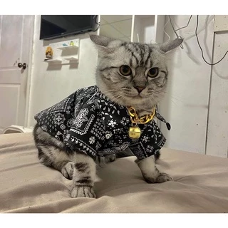 เสื้อเชิ้ต สุนัขและแมว พร้อมส่ง ทรงหลวมใส่สบาย แฟชั้นฤดูร้อน ผ้าไหมอิตาลี