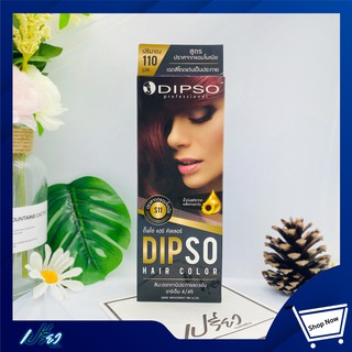 DIPSO HAIR COLOR ดิ๊พโซ่ แฮร์คัลเลอร์ 220 กรัม 1 กล่อง