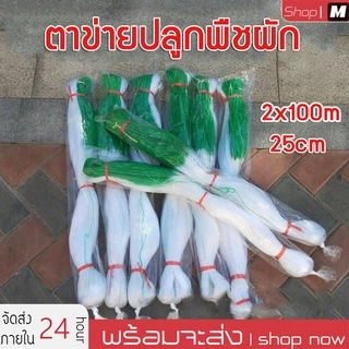 ตาข่ายปลูกพืชผัก โครงไม้เลื้อย ค้างปลูกผัก อวนปลูกผัก ตาข่ายอวน ค้างแตง ไม้เลื้อย ตาข่ายเอ็น สูง 2 เมตร x ยาว 100 เมตร