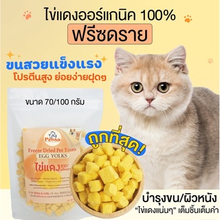 ขนมแมว PAWSA ไข่แดงฟรีซดราย ไข่แดงอบแห้ง ขนมฟรีซดราย ขนมแมวไม่เค็ม