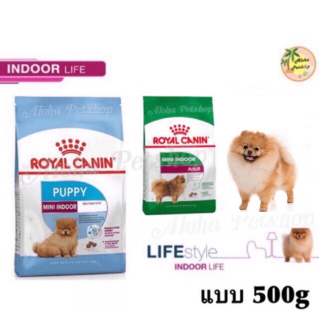 Royal Canin สูตร Indoor ลูกสุนัข, สุนัขโต ที่เลี้ยงในบ้าน 500g