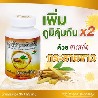 เอเซียกระชายขาวของแท้ 100 % ASIA KRACHAI White Galingale Extract ( 1 กระปุก 100 แคปซูล)