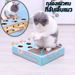 ของเล่นแมวจากกล่องกระดาษ ที่ลับเล็บแมว  กล่องแมวตบ ของเล่นแมว cat punch กล่องแมวตบปริศนา ของเล่นสัตว์เลี้ยง