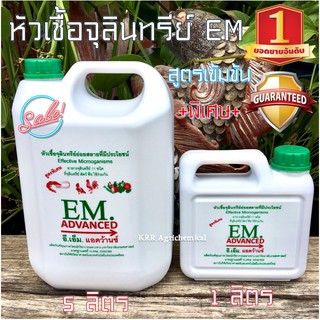 EM สูตรเข้มข้นพิเศษ 1 ลิตร หัวเชื้อจุลินทรีย์เข้มข้น หัวเชื้ออีเอ็ม Effective Microorganisms