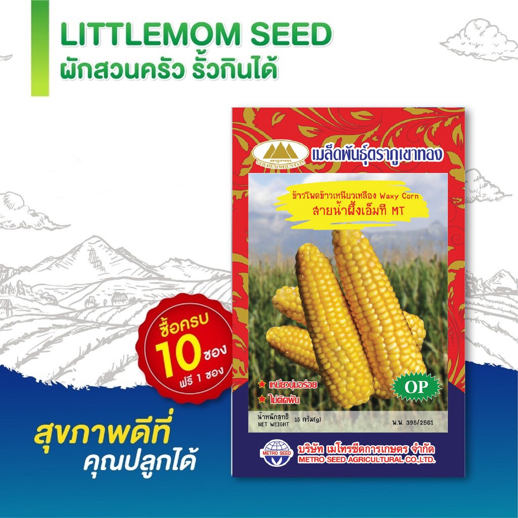 เมล็ดข้าวโพดเหนียวเหลือง สายน้ำผึ้ง ภูเขาทอง 15 กรัม