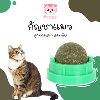 【โค้ดTHESHOPลด50%】Catnip กัญชาแมว ออร์แกนิค ลูกบอลแมว แคทนิป ของเล่นแมว บอลcatnip แบบเลีย แมว PF1