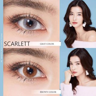 คอนแทคเลนส์ Sweety Plus ลาย Scarlett