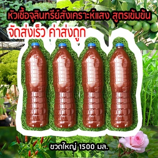 หัวเชื้อจุลินทรีย์สังเคราะห์แสงเข้มข้น ตรึงไนโตรเจน เร่งการเจริญเติบโต รากพืชแข็งแรง ย่อยสลายซากพืช ปรับสภาพดินและน้ำ