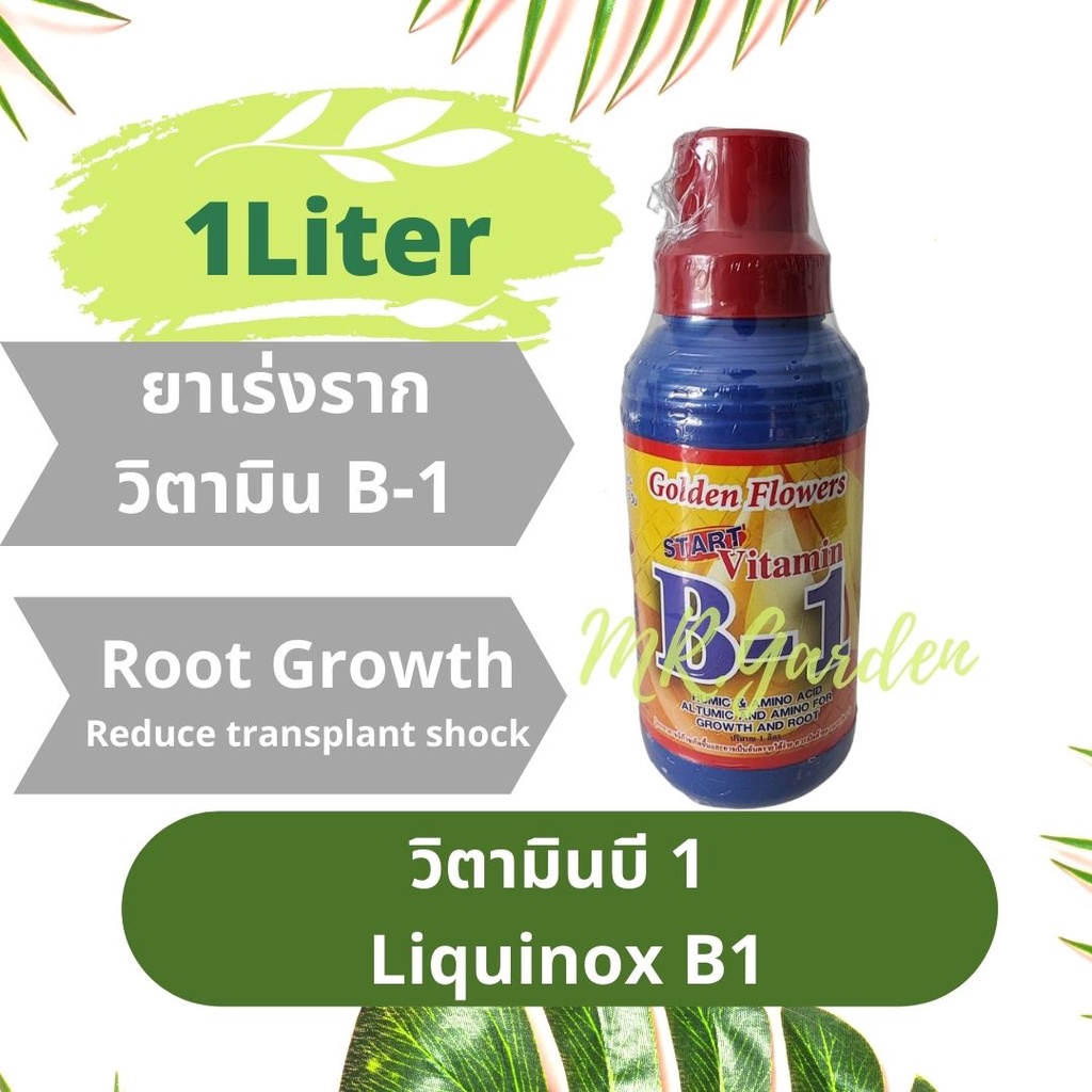 บี1 ยาเร่งราก ระเบิดราก Vitamin B and MG Root and plant growth น้ำยาเร่งราก คลุกเมล็ด ตอนกิ่ง ช่วยในการปักชำ แตกรากพืช