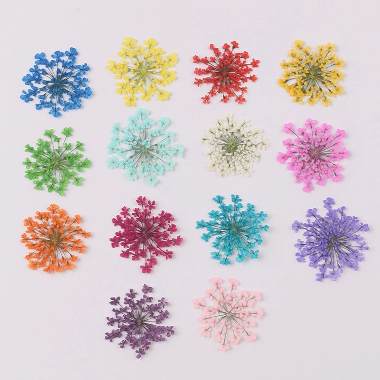 100 ชิ้นลูกปัดหิมะดอกไม้ดอกไม้แห้งนูน DIY ที่คั่นหนังสือ