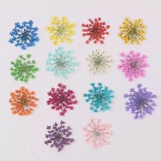 100 ชิ้นลูกปัดหิมะดอกไม้ดอกไม้แห้งนูน DIY ที่คั่นหนังสือ
