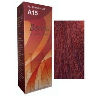 เบอริน่า สีย้อมผม(Berina Hair Color Cream)A15