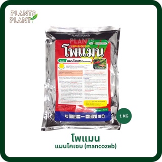 แมนโคเซบ (mancozeb) 1KG : โพแมน ป้องกันและกําจัดโรคพืช โรคกาบใบแห้ง, โรคกาบใบเน่า, โรคใบจุดสีน้ำตาล, โรคใบมีด, รากเน่า