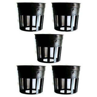 Papamami Pots Round Black Plastic กระถางพลาสติกกลมสีดำ 1 นิ้ว 5ใบ