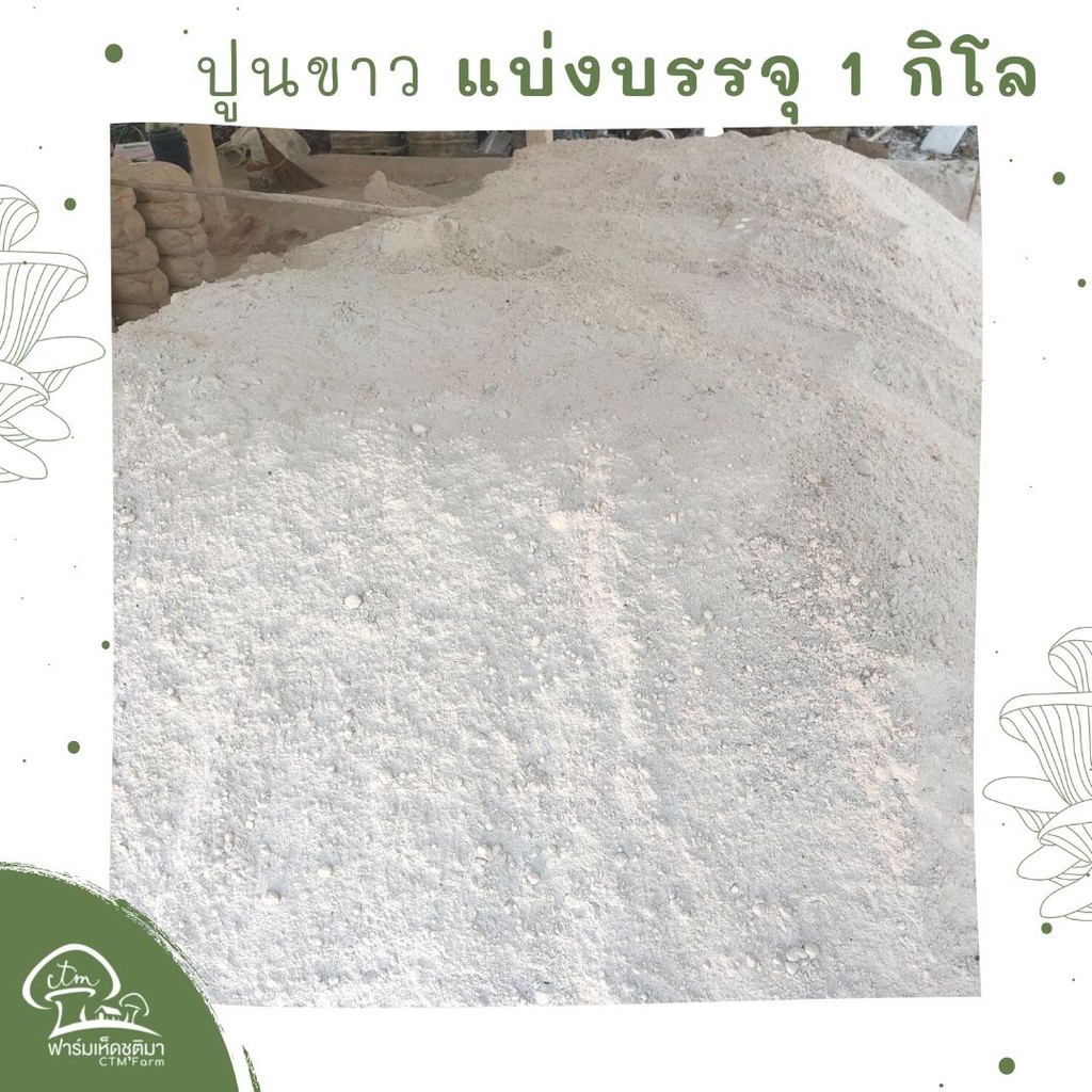 ปูนขาว 1 กิโลกรัม ปรับค่าPH ฆ่าเชื้อ ก้อนเห็ด ดิน น้ำ ปูนเย็น ปูนเกษตร