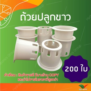 ถ้วยปลูกผักไฮโดรโปนิกส์ใช้ซ้ำ 1 ชุด จำนวน 200  by hydroponicgroup