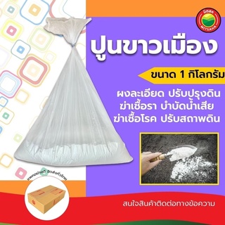 ปูนขาวเมือง ขนาด 1kg สีขาว WHITE CALCIUM ปูนขาว แบ่งขาย ปรับสภาพ โรย ต้นไม้ ดิน ผงละเอียด ฆ่าเชื้อรา บำบัด น้ำเสีย มิตสห