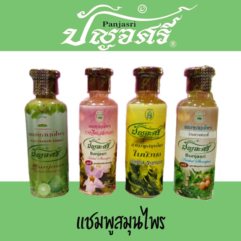 แชมพูสมุนไพร มะกรูด/ใบบัวบก/ ว่านหางจระเข้/ รางจืด 250 มิลลิลิตร ปัญจศรี ปัญจะศรี