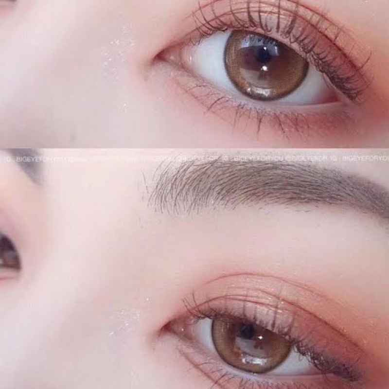 คอนแทคเลนส์ SeeShell Brown สีน้ำตาลขนาดตาโต มีสายตาถึง -7.00 ราคา ถูกที่สุด ดีลบีเคเค แกลเลอรีภาพที่ 7
